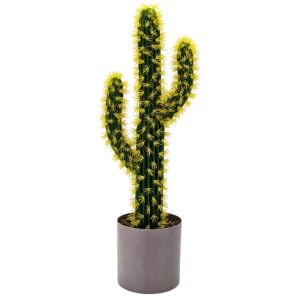 Saksılı Kaktüs 19x80cm