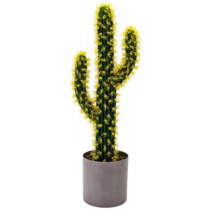 Saksılı Kaktüs 19x80cm
