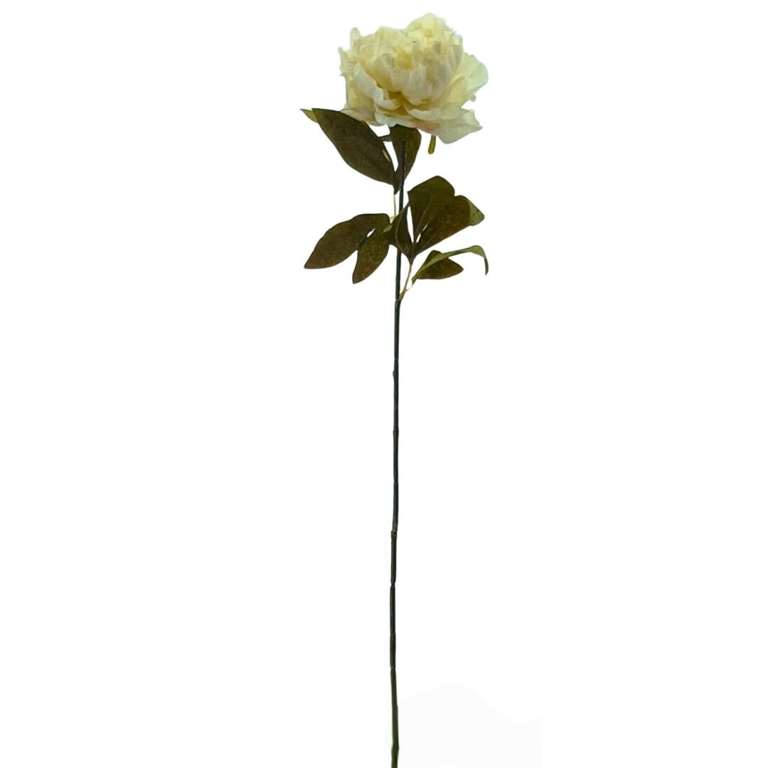 Şakayık Beyaz 70cm