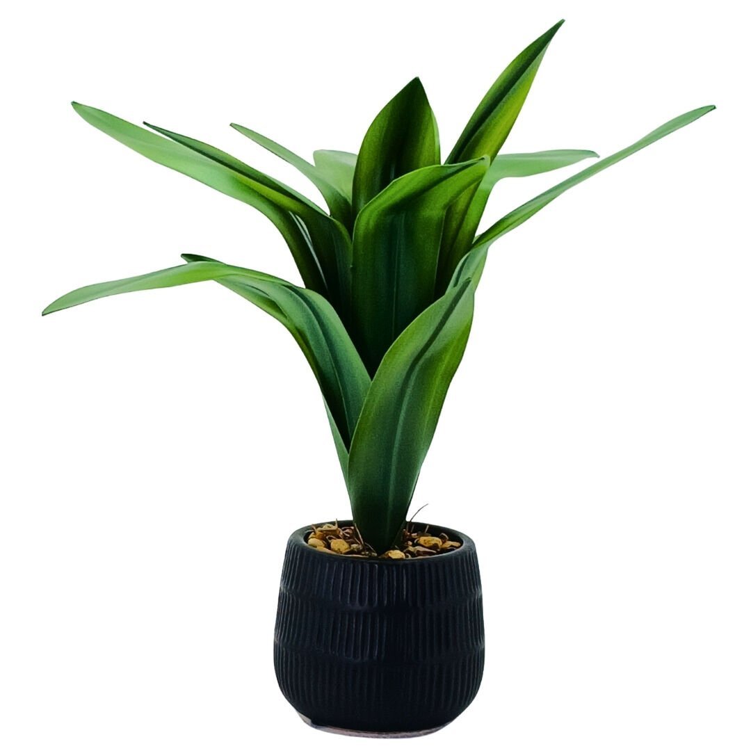 Saksılı Bitki 13x45cm