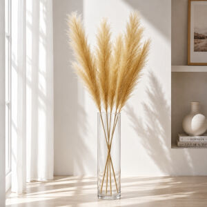 İnciraltı Pampas 20x100cm