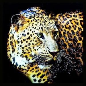 Epoksi Kaplan Tablo 85x85cm